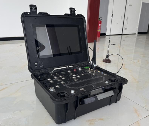 Single-Screen Graphic-numeric Integrated Carry Case