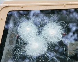 Augard Ligard Transparent Armor